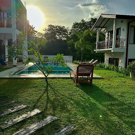 Finch Tangalle Luaran gambar