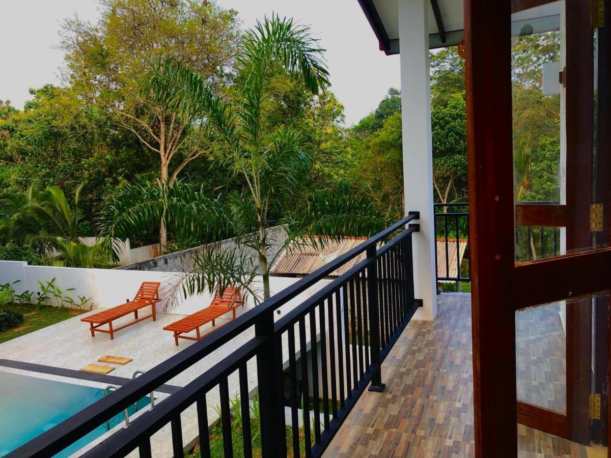 Finch Tangalle Luaran gambar