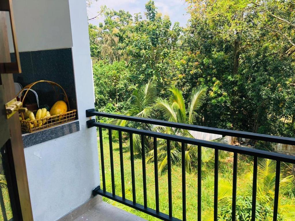 Finch Tangalle Luaran gambar