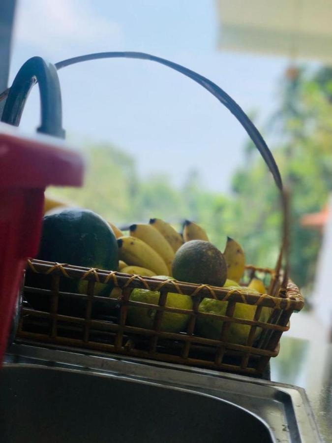 Finch Tangalle Luaran gambar