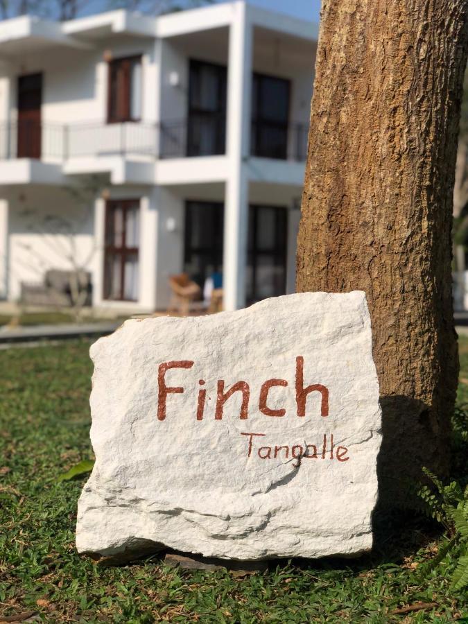 Finch Tangalle Luaran gambar
