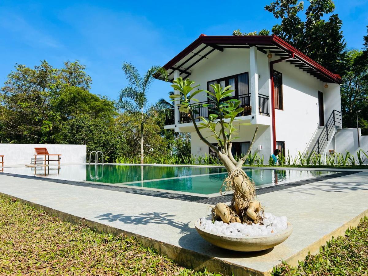 Finch Tangalle Luaran gambar
