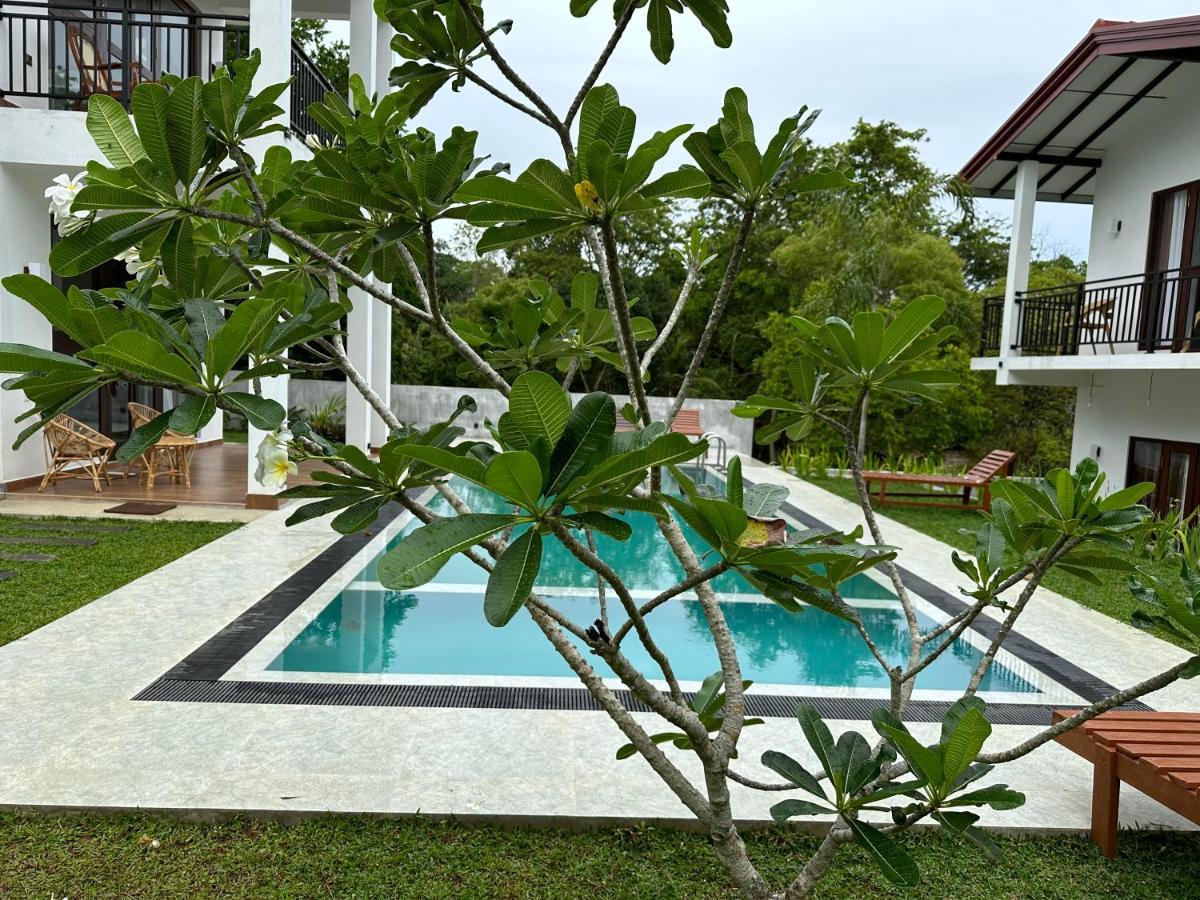 Finch Tangalle Luaran gambar