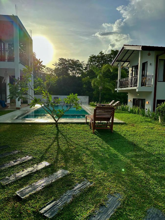 Finch Tangalle Luaran gambar