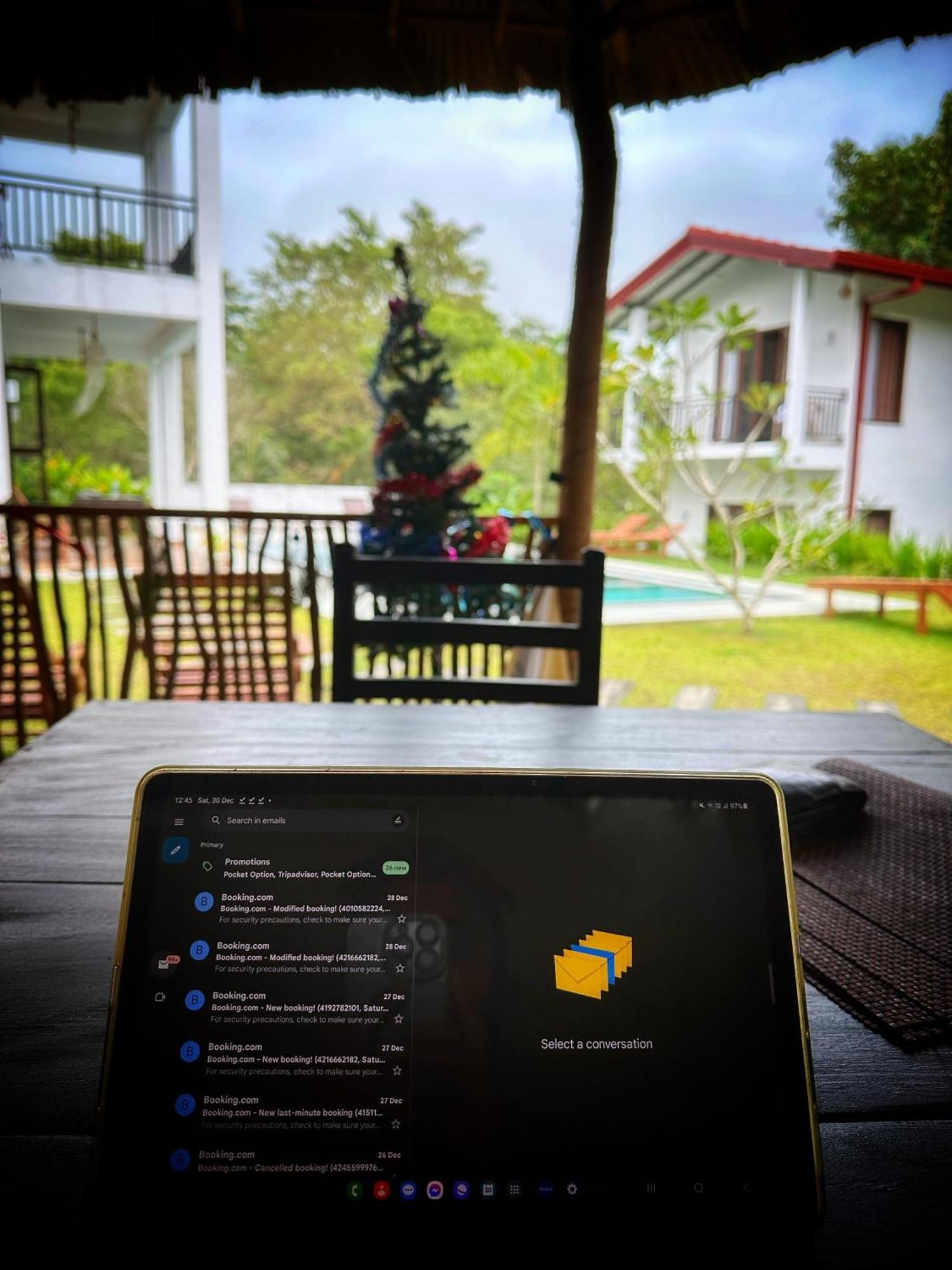 Finch Tangalle Luaran gambar